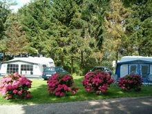 zobacz camping - zdjęcie 8