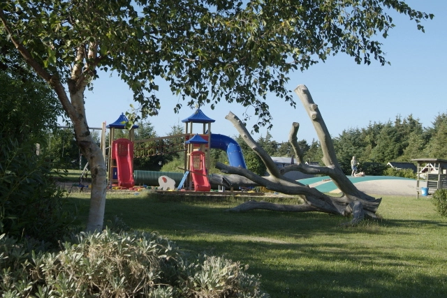 zobacz camping - zdjęcie 12