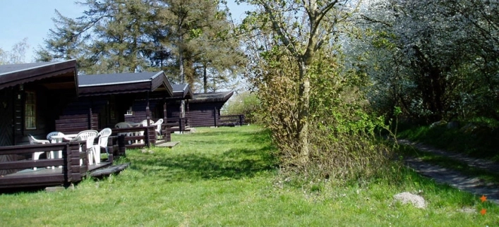 zobacz camping - zdjęcie 22