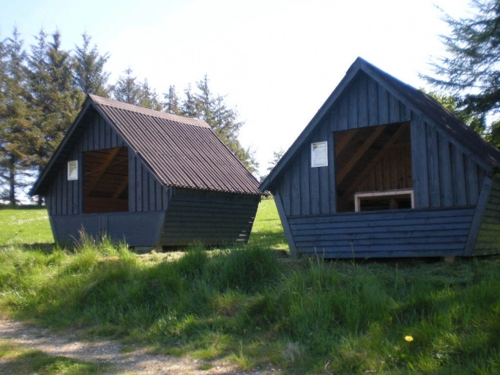 zobacz camping - zdjęcie 16