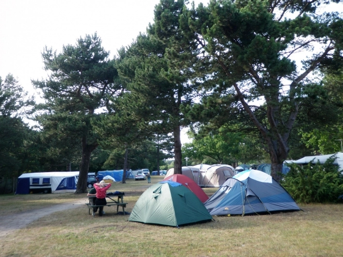 zobacz camping - zdjęcie 13