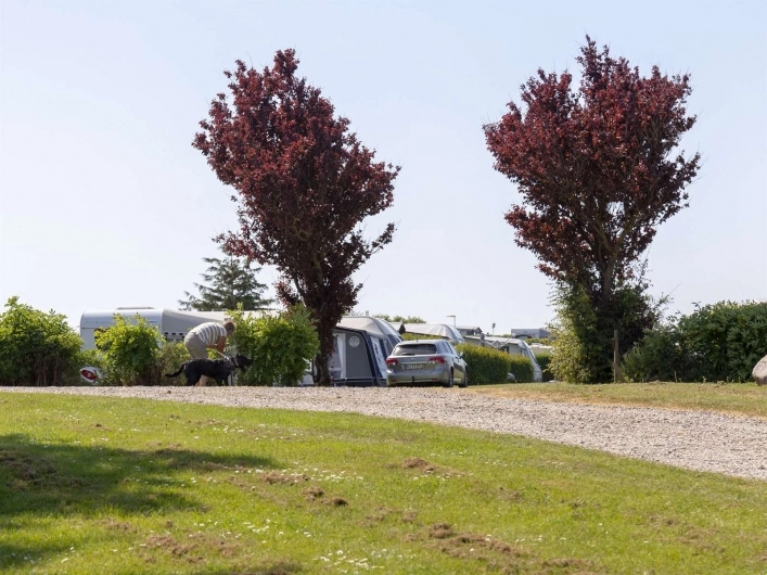 zobacz camping - zdjęcie 16