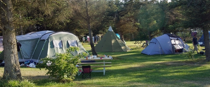zobacz camping - zdjęcie 18