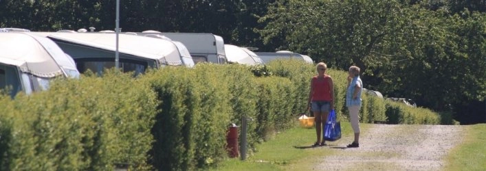 Grønnehave Strand Camping - zdjęcie 1
