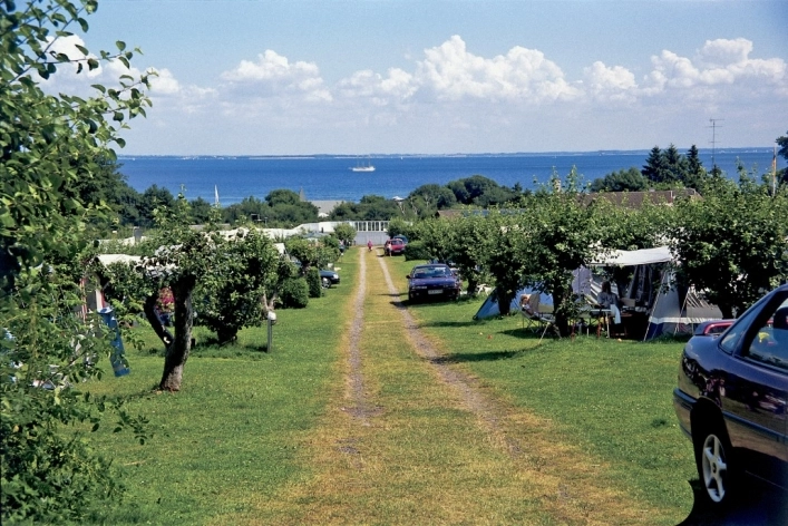 zobacz camping - zdjęcie 16