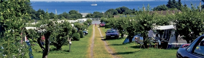 zobacz camping - zdjęcie 11