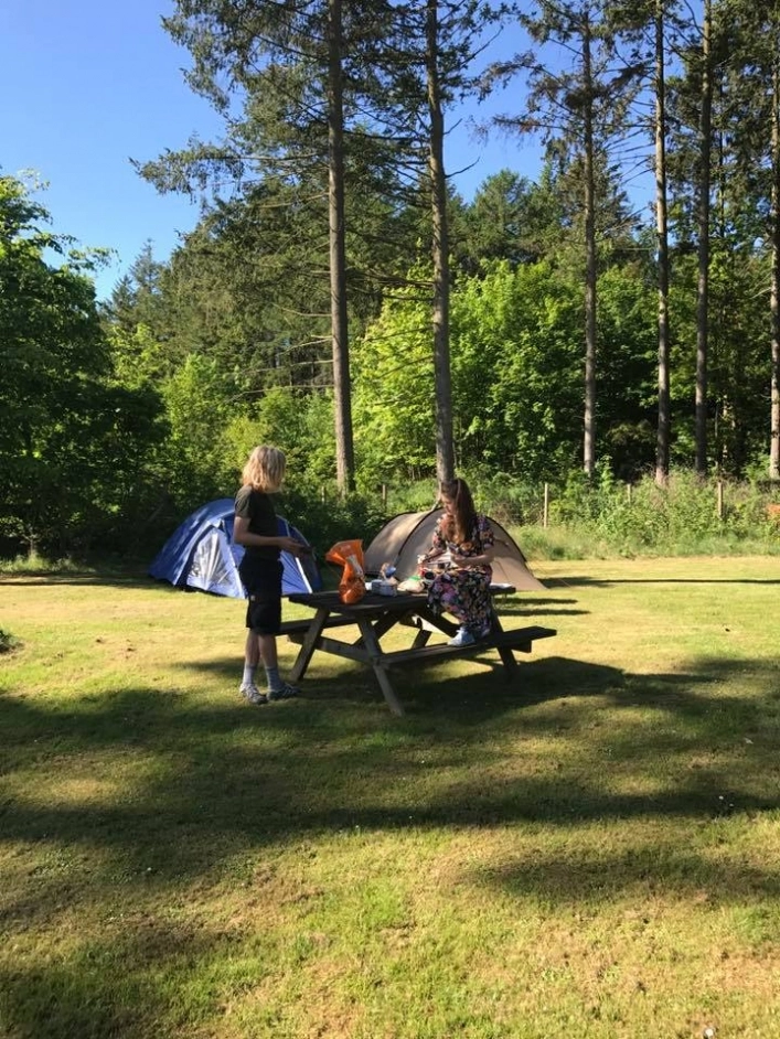 Gudenåens Camping Silkeborg - zdjęcie 1