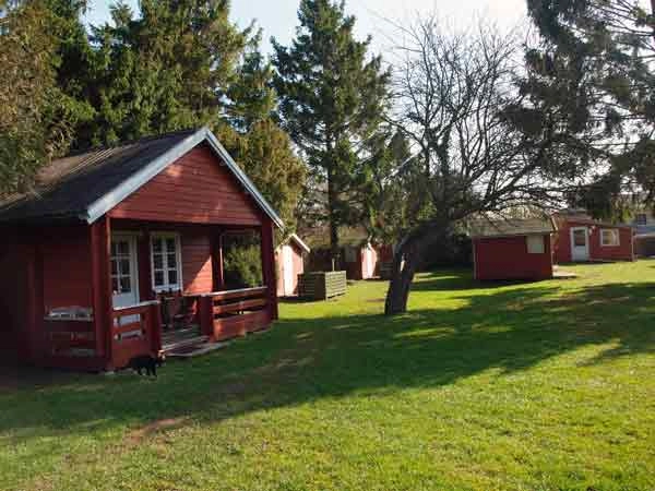 Guldborg Camping - zdjęcie 3