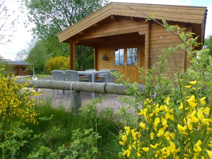 zobacz camping - zdjęcie 14