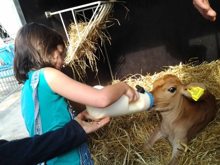 zobacz camping - zdjęcie 13