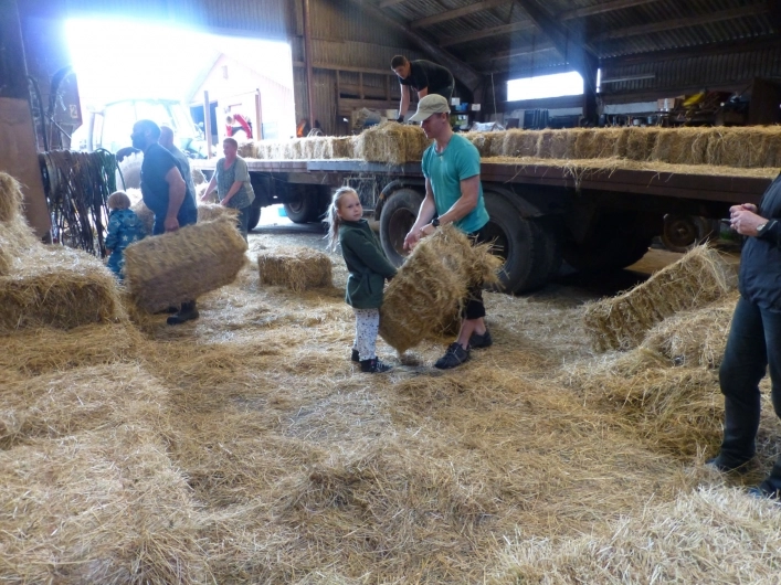 Gyvelborg Bondegaardscamping - zdjęcie 3