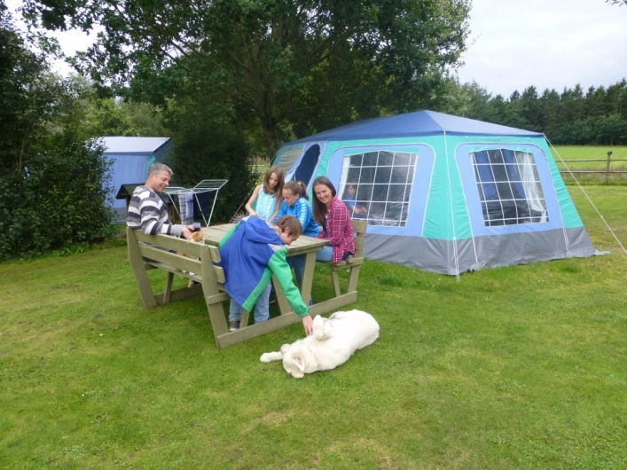 zobacz camping - zdjęcie 3