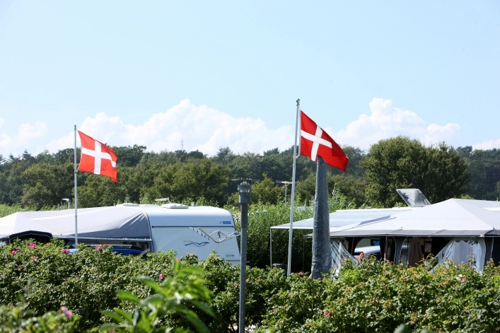 zobacz camping - zdjęcie 18