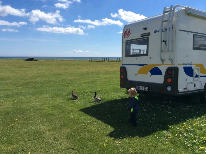 zobacz camping - zdjęcie 13