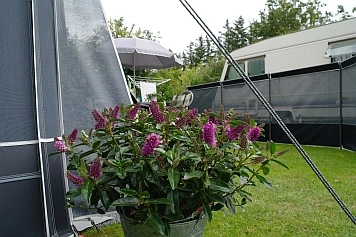 zobacz camping - zdjęcie 19