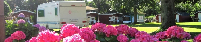 zobacz camping - zdjęcie 13