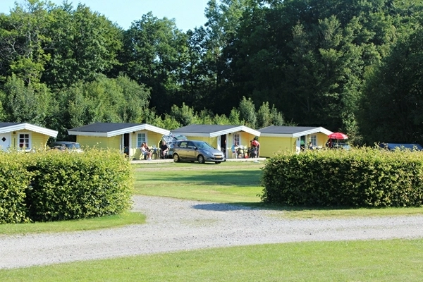 zobacz camping - zdjęcie 10