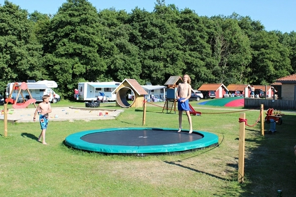 zobacz camping - zdjęcie 4