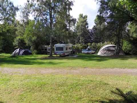 Højsager Camping - zdjęcie 1