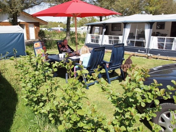 zobacz camping - zdjęcie 8