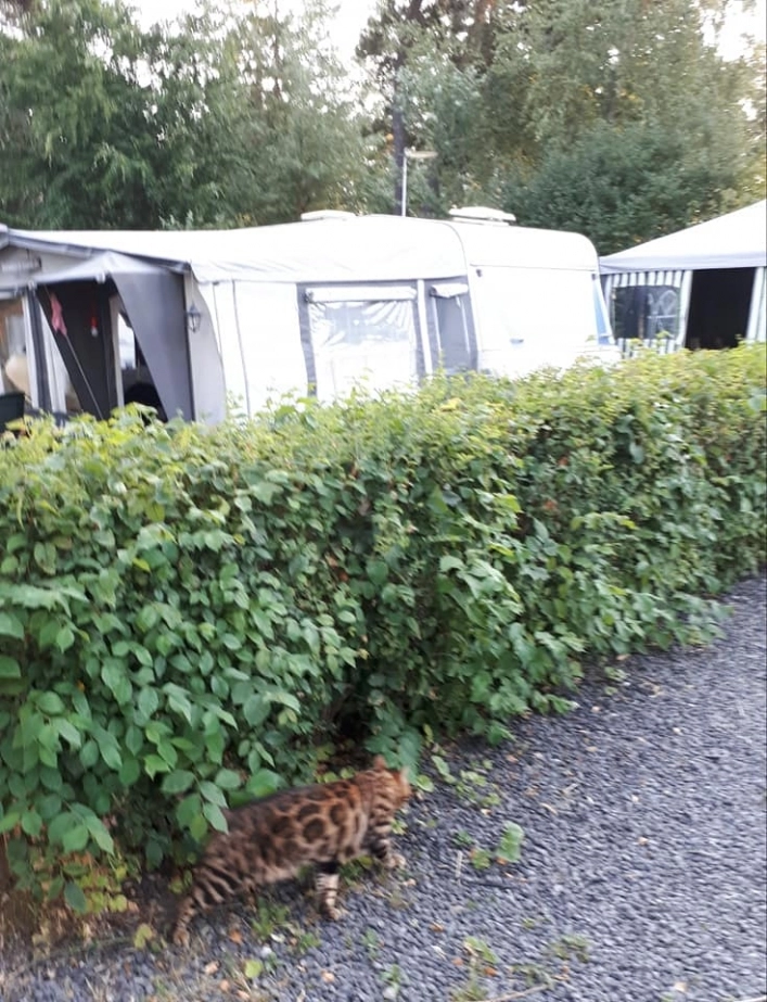 zobacz camping - zdjęcie 16