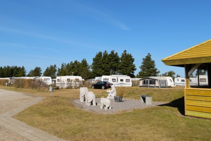 Jammerbugt Camping - zdjęcie 4