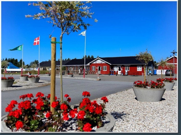 Jammerbugt Camping - zdjęcie 2