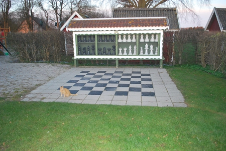 zobacz camping - zdjęcie 23