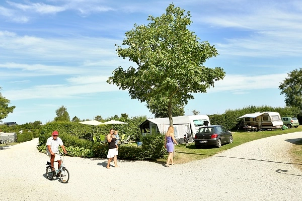 zobacz camping - zdjęcie 14