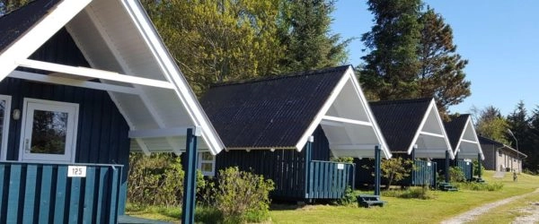 zobacz camping - zdjęcie 4