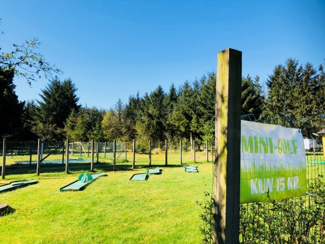 zobacz camping - zdjęcie 2