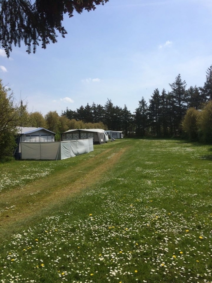 Ballum Camping - zdjęcie 3