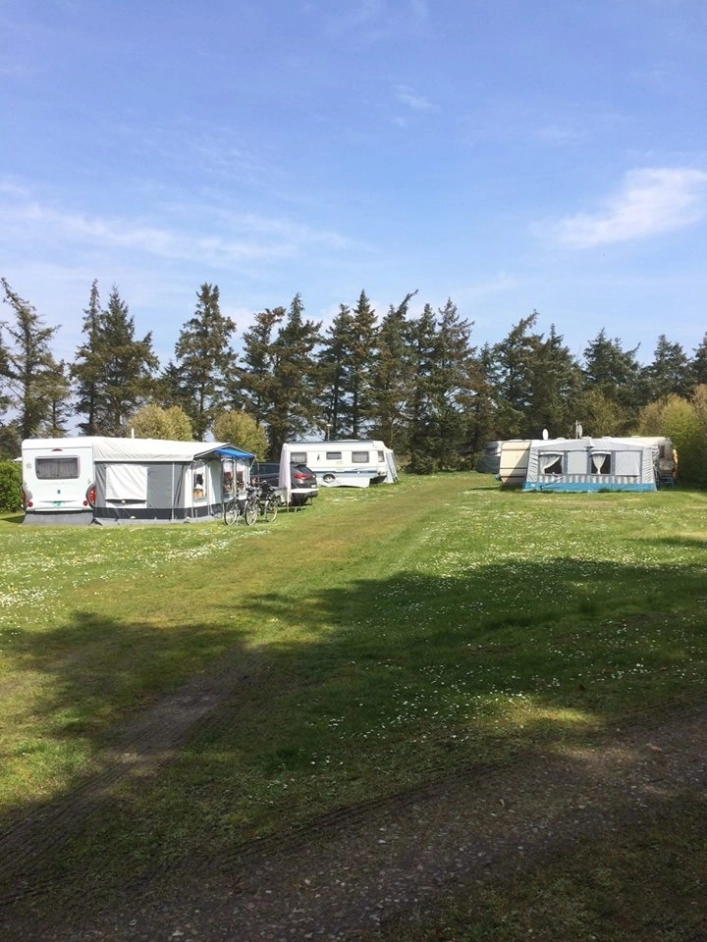 Ballum Camping - zdjęcie 2