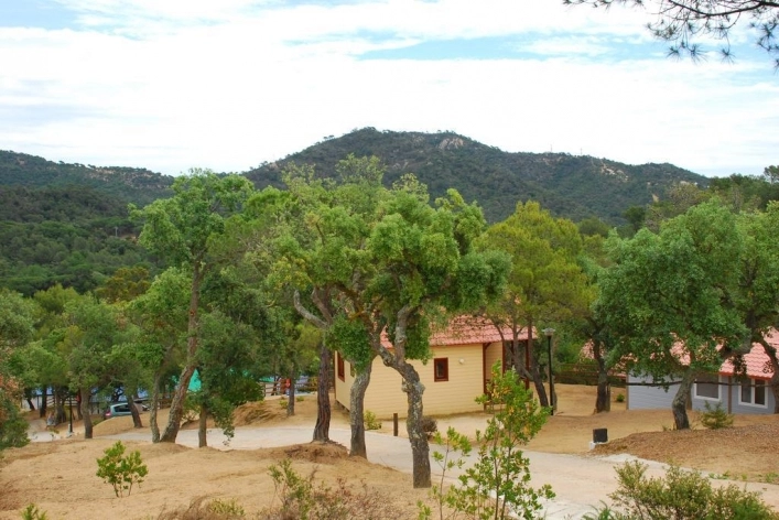 zobacz camping - zdjęcie 19