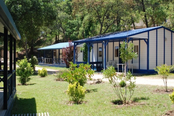 zobacz camping - zdjęcie 18