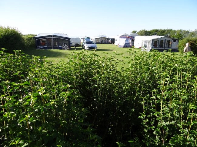 Købingsmark Strand Camping - zdjęcie 2