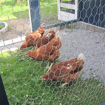 Lægårdens Camping - zdjęcie 3