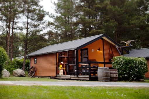 zobacz camping - zdjęcie 7