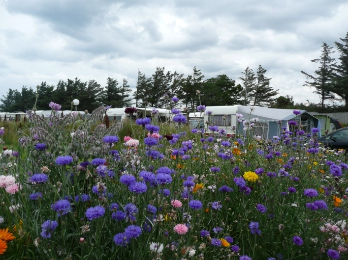 zobacz camping - zdjęcie 10