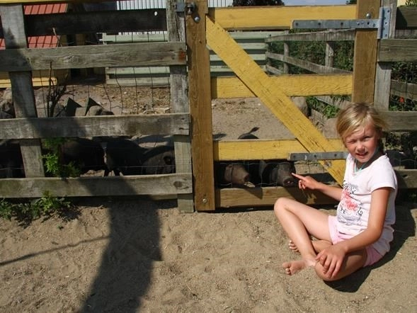 Lundeborg Strand-camping - zdjęcie 4