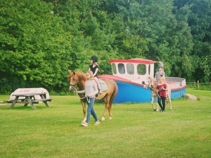zobacz camping - zdjęcie 17
