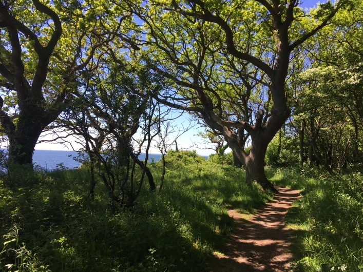 zobacz camping - zdjęcie 2