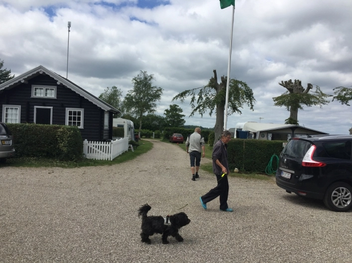 zobacz camping - zdjęcie 11