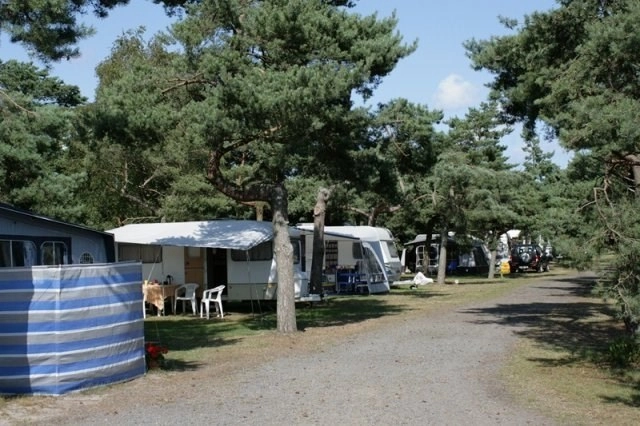 zobacz camping - zdjęcie 12