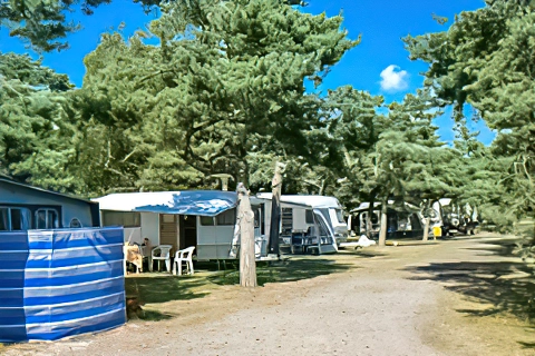 Møllers Dueodde Camping