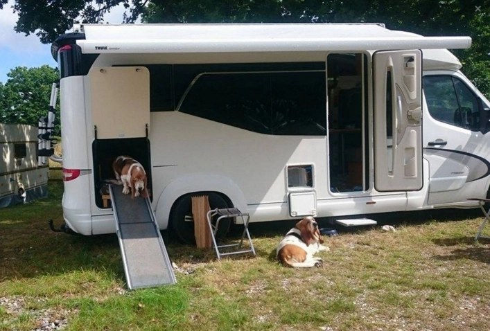 Møn Strandcamping - Ulvshale - zdjęcie 1