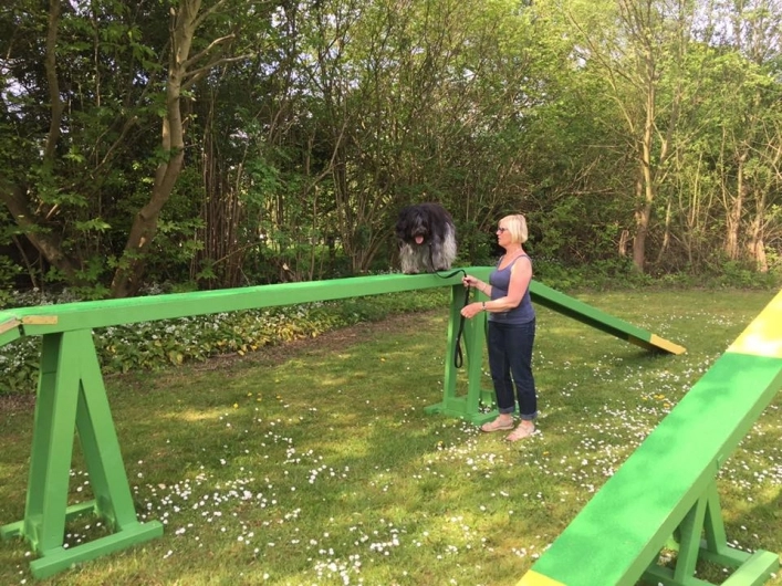 zobacz camping - zdjęcie 19