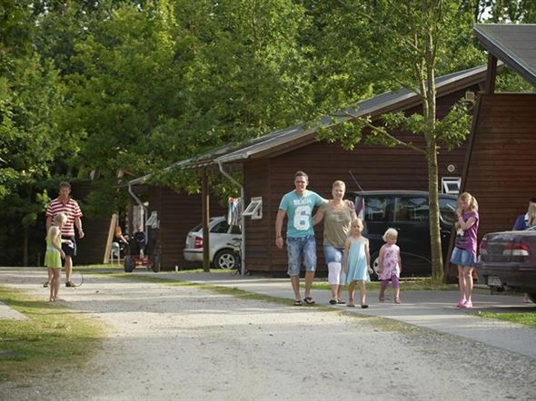 zobacz camping - zdjęcie 13