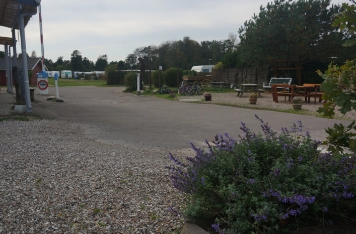 zobacz camping - zdjęcie 8