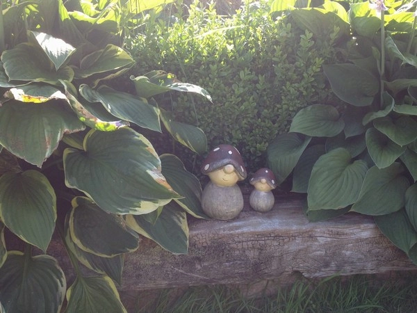 zobacz camping - zdjęcie 18